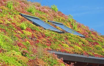 Rockwell End living roof systems